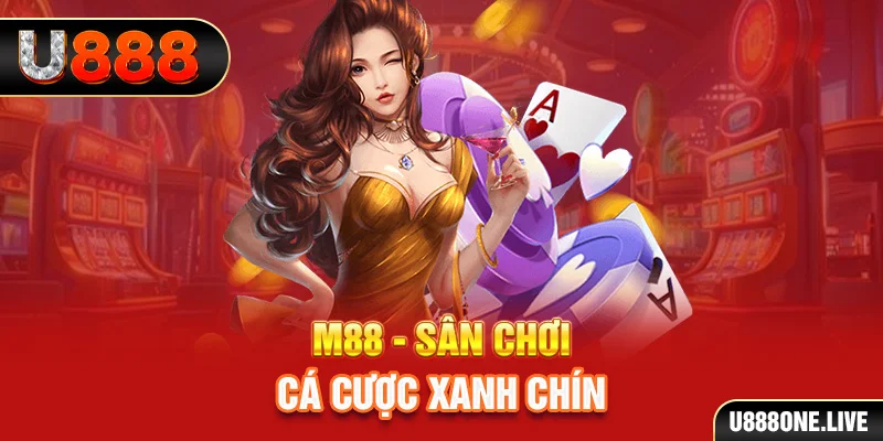 mcw66 gà chọi cậu thanh