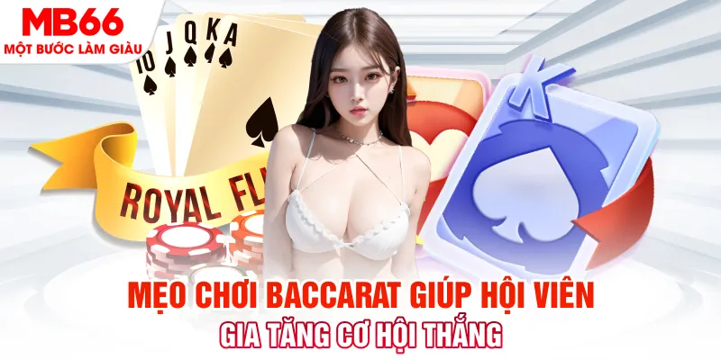 mcw66 đá gà 88