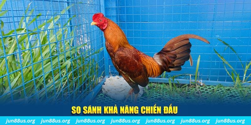mcw66 xổ số tiền giang