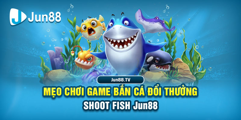 mcw66 tai game danh bai bigkool ve may tinh