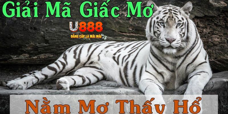mcw66 xổ số kiến thiết miền bắc
