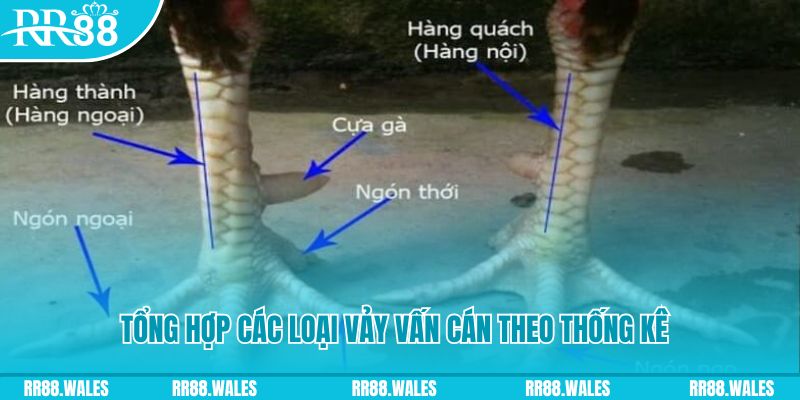 mcw66 nổ hũ chơi như thế nào