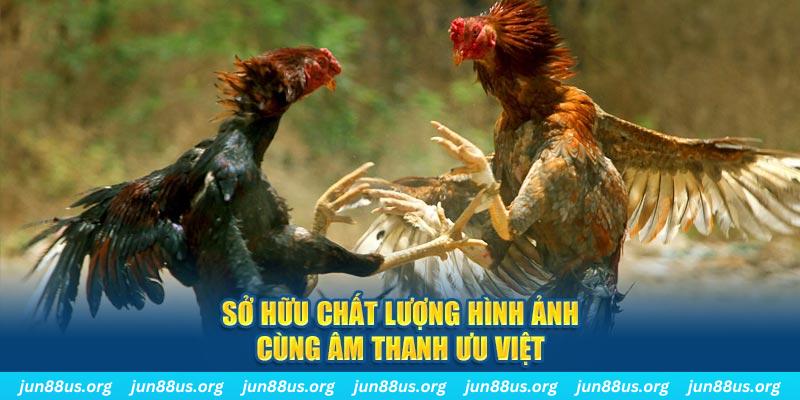 mcw66 tai game danh bai ve may tinh