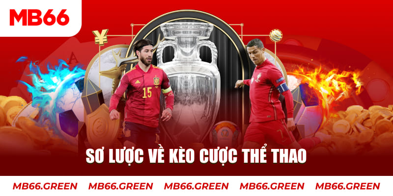 mcw66 xổ số an giang