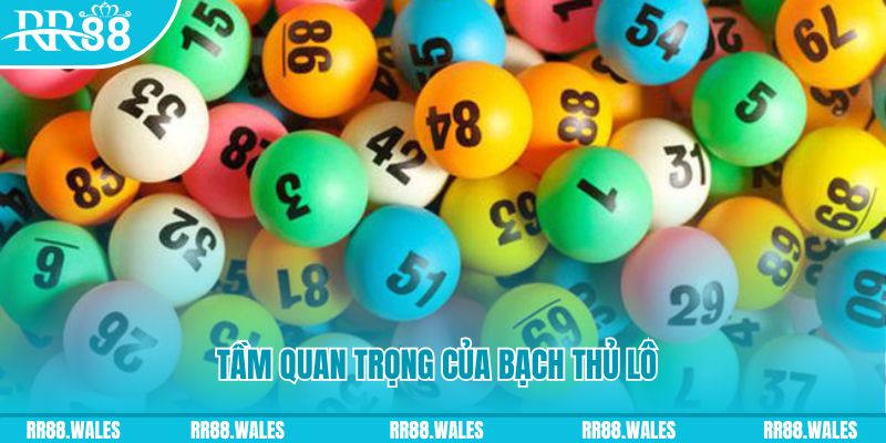 mcw66 đá gà trực tiếp casino