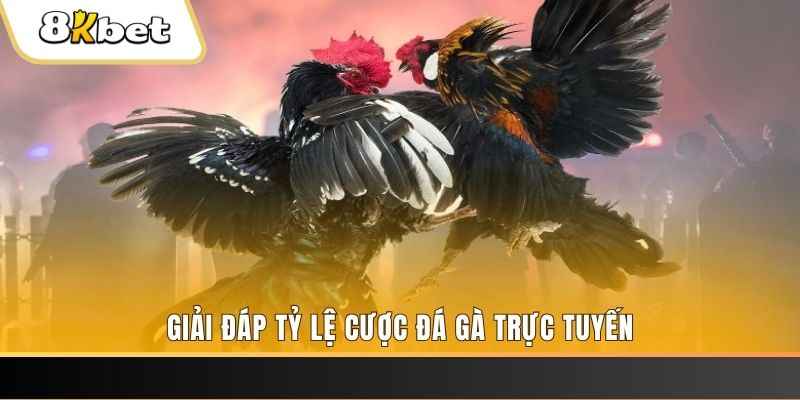 mcw66 xổ số ba đài