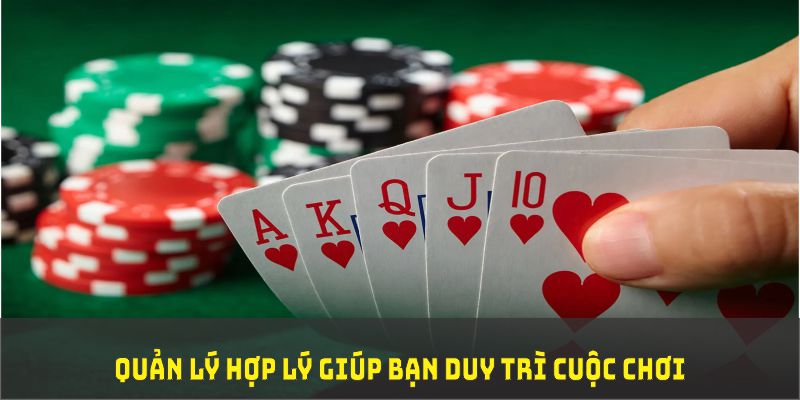 mcw66 TP Xổ Số