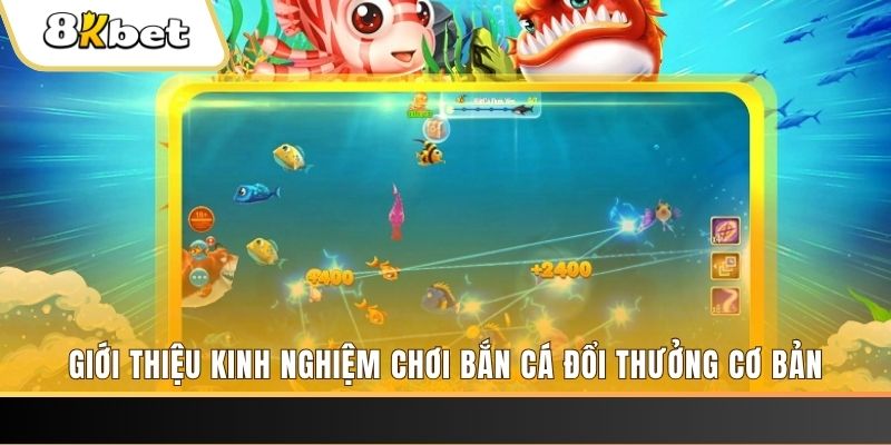 mcw66 8 bí ẩn chơi nổ hũ ít ai biết