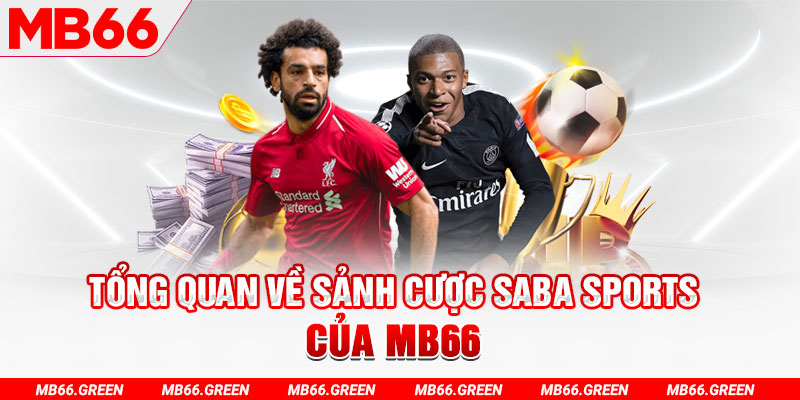 mcw66 slot có nghĩa là gì