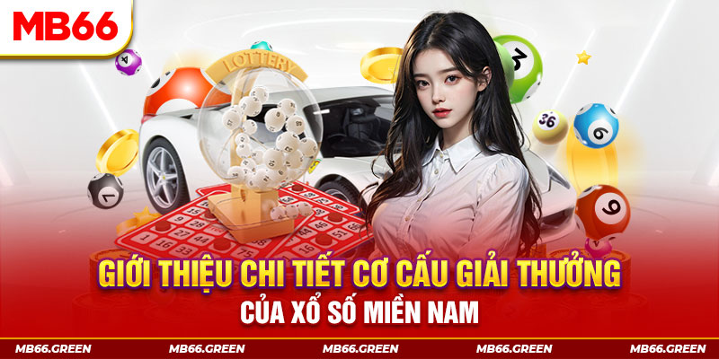 mcw66 PP Điện Tử