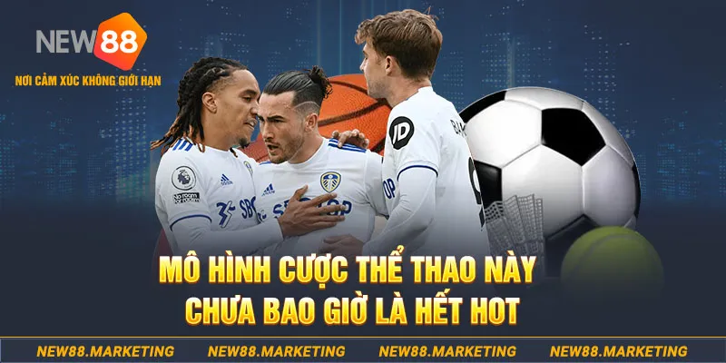 mcw66 gà chọi c1 thomo